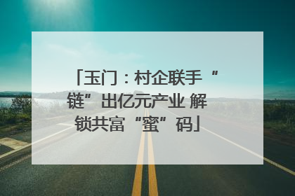 玉门：村企联手“链”出亿元产业 解锁共富“蜜”码