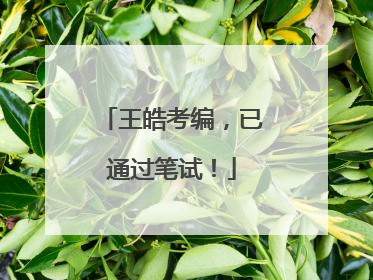 王皓考编，已通过笔试！