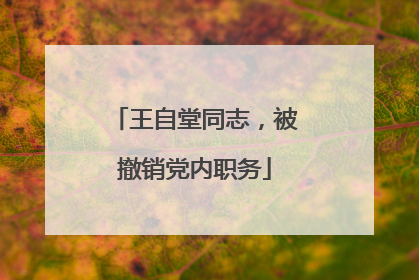 王自堂同志，被撤销党内职务