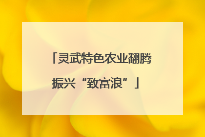 灵武特色农业翻腾振兴“致富浪”