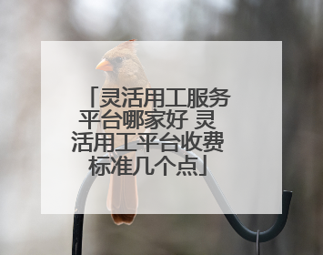 灵活用工服务平台哪家好 灵活用工平台收费标准几个点