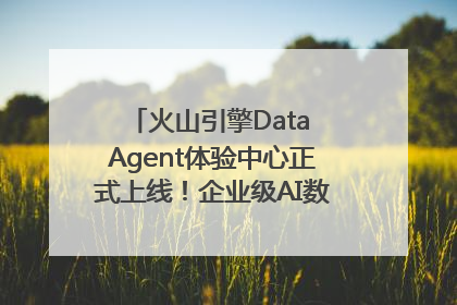 火山引擎Data Agent体验中心正式上线！企业级AI数据专家触手可及