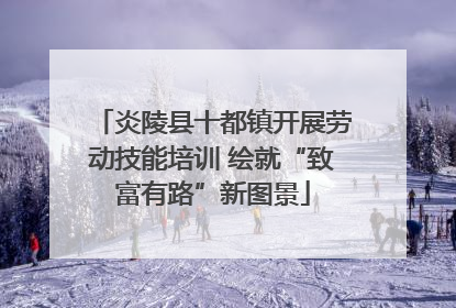炎陵县十都镇开展劳动技能培训 绘就“致富有路”新图景