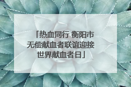 热血同行 衡阳市无偿献血者联谊迎接世界献血者日