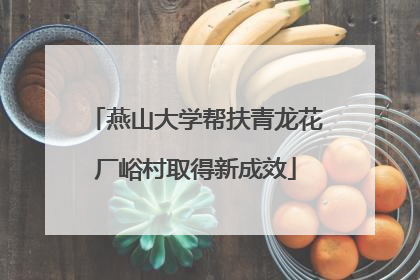 燕山大学帮扶青龙花厂峪村取得新成效
