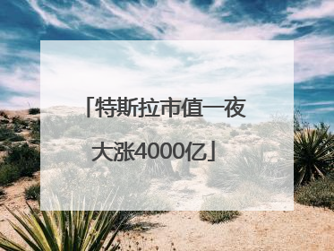 特斯拉市值一夜大涨4000亿