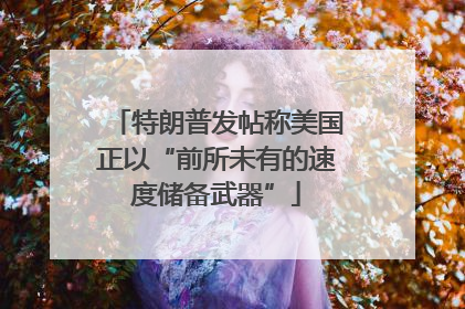 特朗普发帖称美国正以“前所未有的速度储备武器”