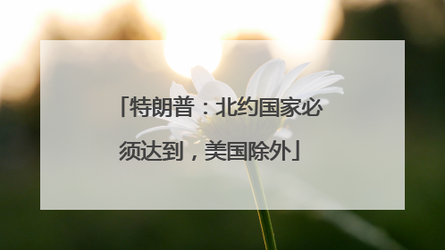 特朗普：北约国家必须达到，美国除外