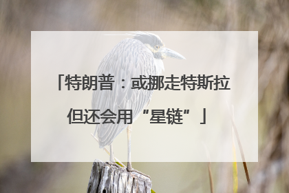 特朗普：或挪走特斯拉 但还会用“星链”