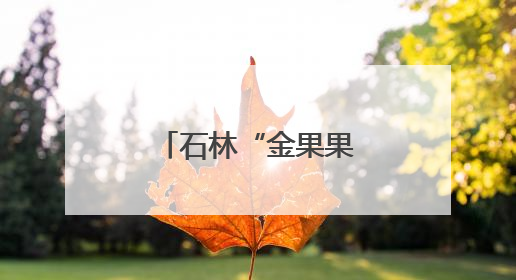 石林“金果果”绘就乡村振兴共富图景