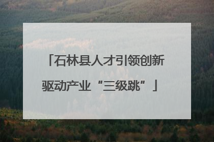 石林县人才引领创新驱动产业“三级跳”