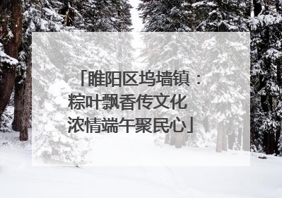 睢阳区坞墙镇：粽叶飘香传文化 浓情端午聚民心