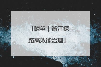 瞭望｜浙江探路高效能治理