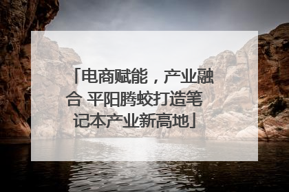 电商赋能，产业融合 平阳腾蛟打造笔记本产业新高地