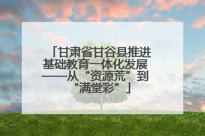 甘肃省甘谷县推进基础教育一体化发展——从“资源荒”到“满堂彩”