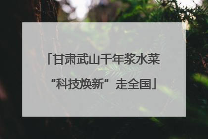 甘肃武山千年浆水菜“科技焕新”走全国
