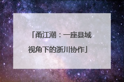 甬江潮：一座县域视角下的浙川协作