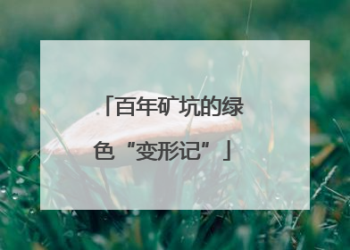 百年矿坑的绿色“变形记”