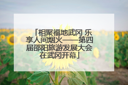 相聚福地武冈 乐享人间烟火——第四届邵阳旅游发展大会在武冈开幕