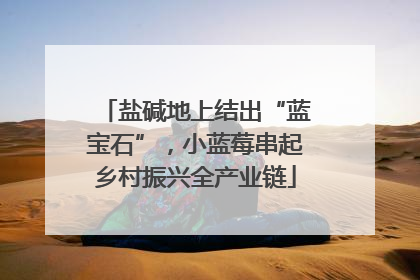 盐碱地上结出“蓝宝石”，小蓝莓串起乡村振兴全产业链