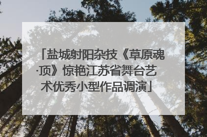 盐城射阳杂技《草原魂·顶》惊艳江苏省舞台艺术优秀小型作品调演