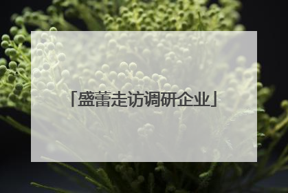 盛蕾走访调研企业