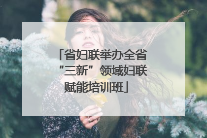 省妇联举办全省“三新”领域妇联赋能培训班