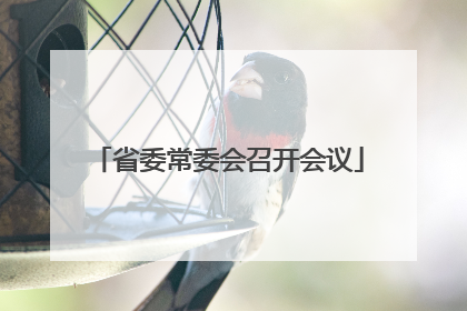 省委常委会召开会议