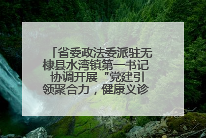 省委政法委派驻无棣县水湾镇第一书记 协调开展“党建引领聚合力，健康义诊惠乡亲”义诊活动