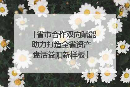 省市合作双向赋能 助力打造全省资产盘活益阳新样板