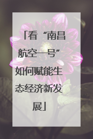 看“南昌航空一号”如何赋能生态经济新发展