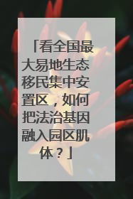 看全国最大易地生态移民集中安置区，如何把法治基因融入园区肌体？