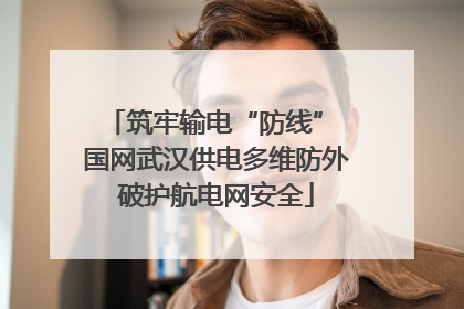 筑牢输电“防线” 国网武汉供电多维防外破护航电网安全
