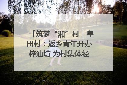 筑梦“湘”村｜皇田村：返乡青年开办榨油坊 为村集体经济“加油”