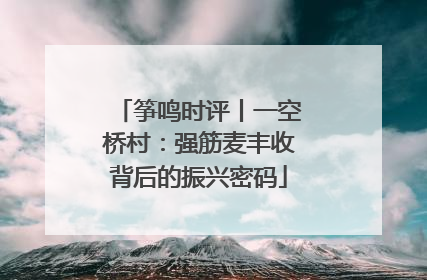 筝鸣时评丨一空桥村：强筋麦丰收背后的振兴密码