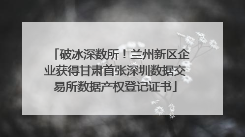 破冰深数所！兰州新区企业获得甘肃首张深圳数据交易所数据产权登记证书