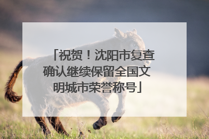 祝贺！沈阳市复查确认继续保留全国文明城市荣誉称号