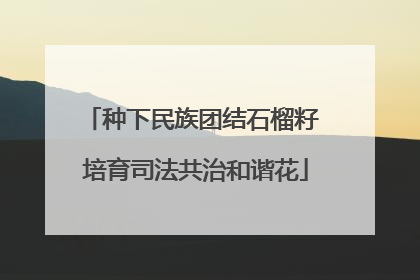 种下民族团结石榴籽 培育司法共治和谐花