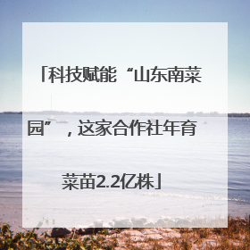 科技赋能“山东南菜园”，这家合作社年育菜苗2.2亿株