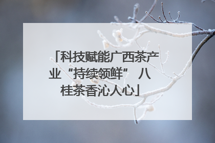 科技赋能广西茶产业“持续领鲜” 八桂茶香沁人心