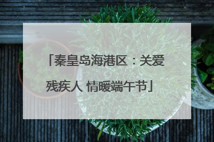 秦皇岛海港区：关爱残疾人 情暖端午节