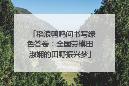 稻浪鸭鸣间书写绿色答卷：全国劳模田淑娴的田野振兴梦