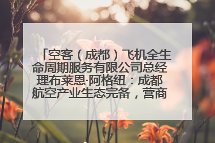 空客（成都）飞机全生命周期服务有限公司总经理布莱恩·阿格纽：成都航空产业生态完备，营商环境优势显著