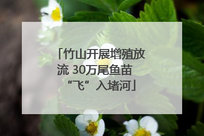 竹山开展增殖放流 30万尾鱼苗“飞”入堵河