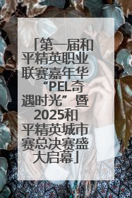 第一届和平精英职业联赛嘉年华“PEL奇遇时光”暨2025和平精英城市赛总决赛盛大启幕