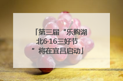 第三届“乐购湖北6·16三好节”将在宜昌启动