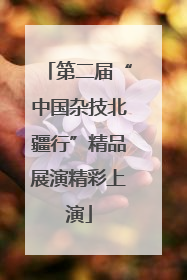 第二届“中国杂技北疆行”精品展演精彩上演