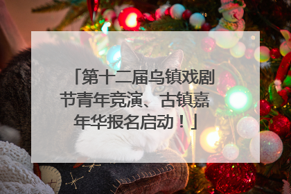 第十二届乌镇戏剧节青年竞演、古镇嘉年华报名启动！
