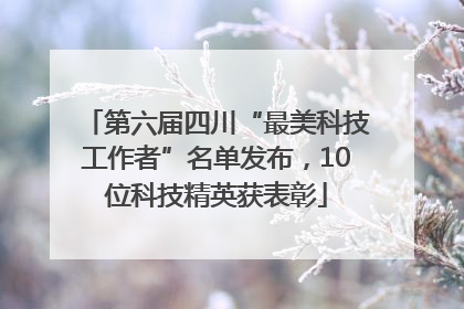第六届四川“最美科技工作者”名单发布，10位科技精英获表彰