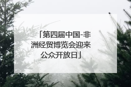 第四届中国-非洲经贸博览会迎来公众开放日